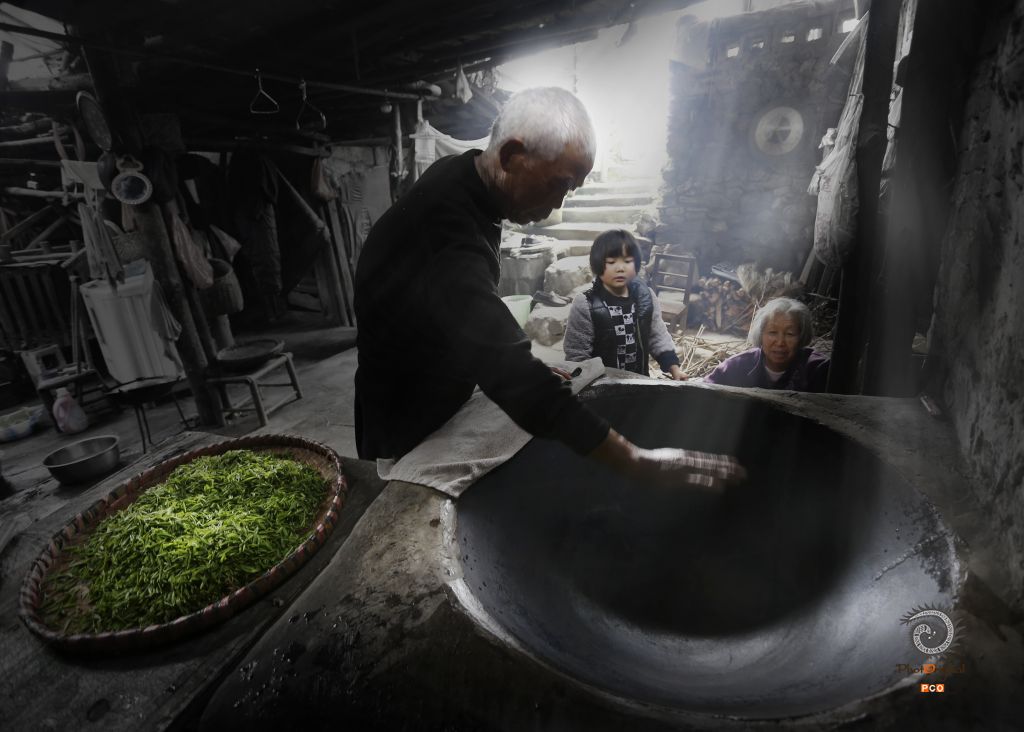 传统制茶（非专业组）（人文类）
