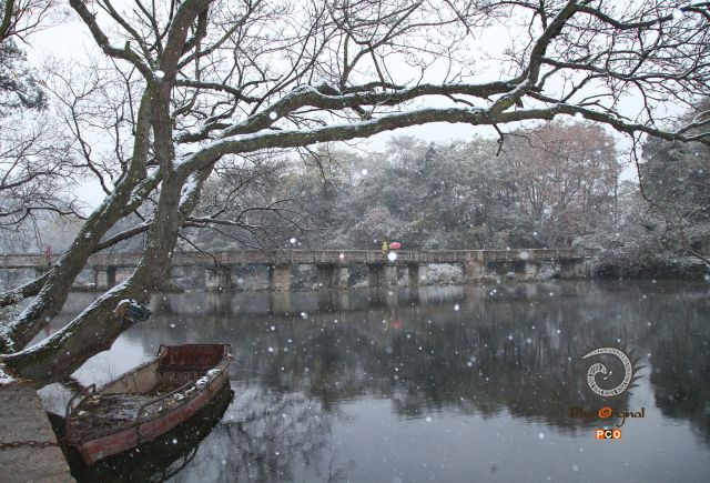 花溪初雪