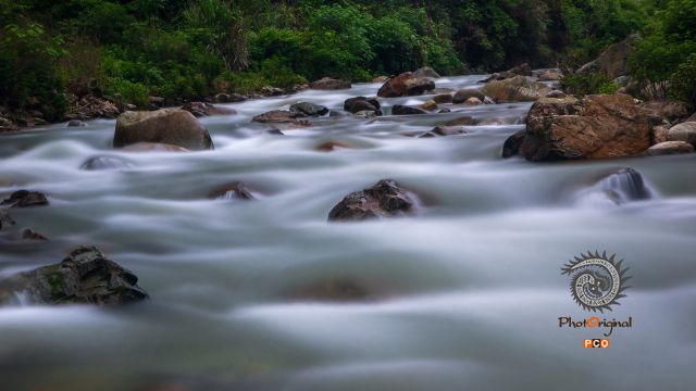 流动的音符
