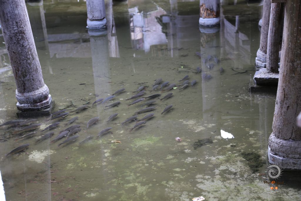 水上粮仓