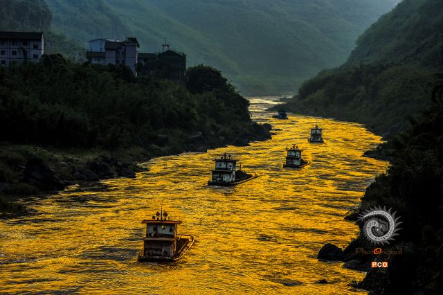 黄金水道