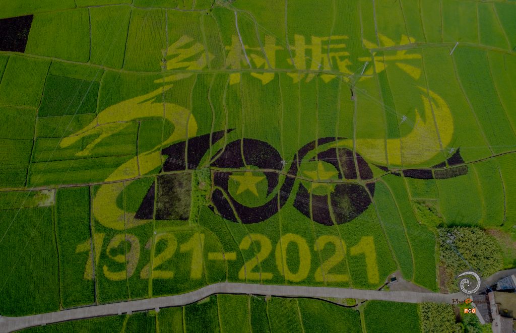 稻田画振兴