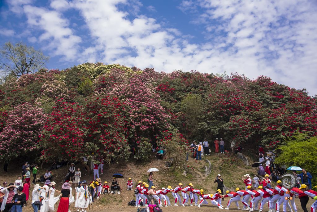 美丽毕节