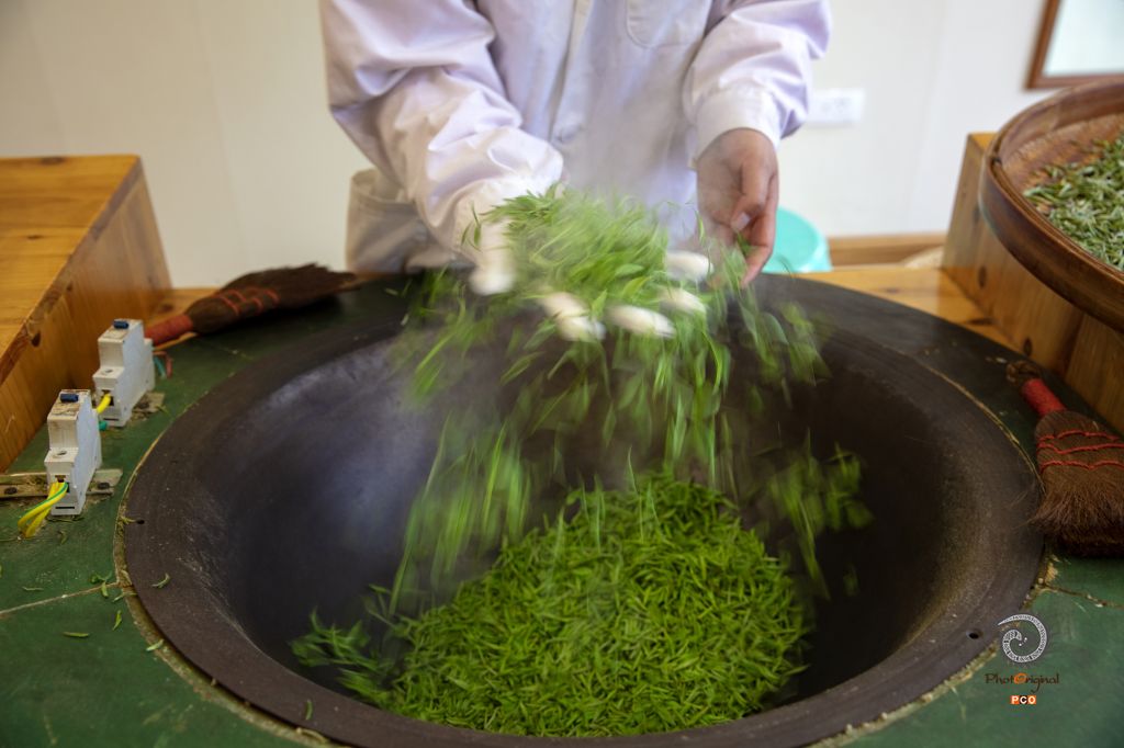 《全面复工复产的贵州茶产业保卫战》
