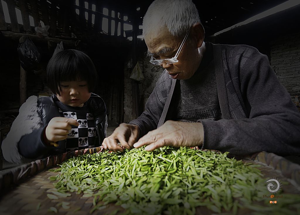 传统制茶（非专业组）（人文类）