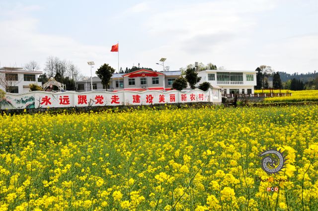 建设美丽新农村