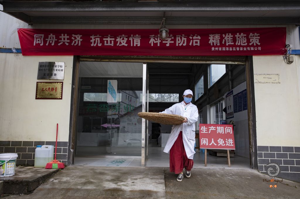 《全面复工复产的贵州茶产业保卫战》