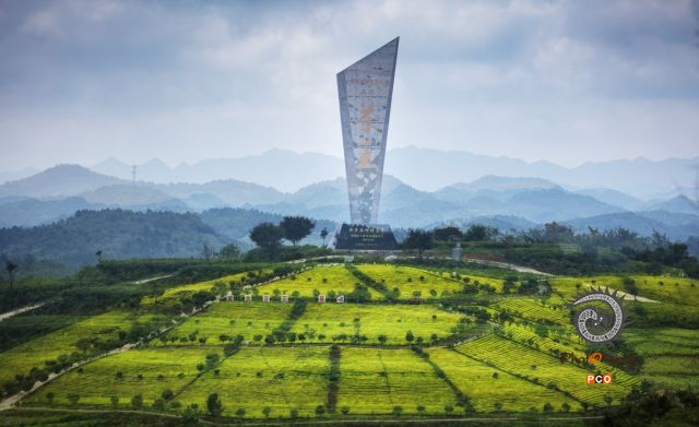 《茶王茶园》(老年组)