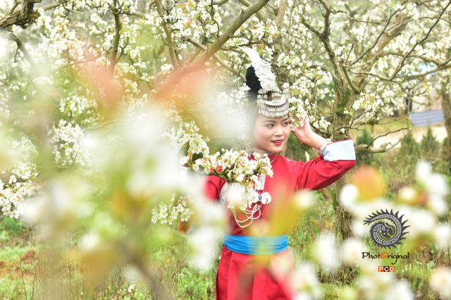 花儿开 游客来