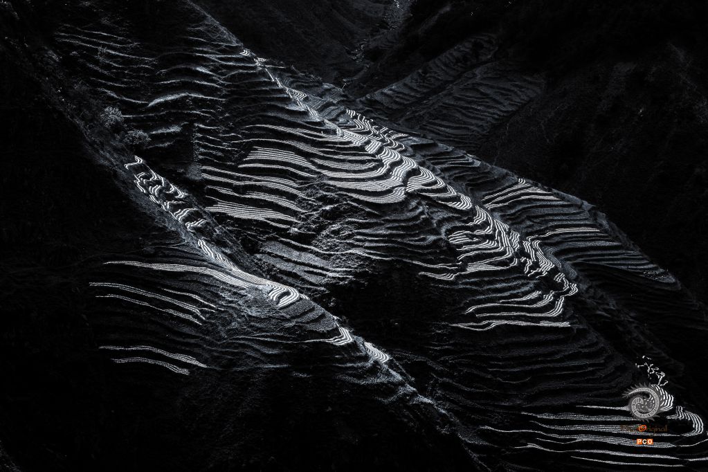 大地诗行 组照