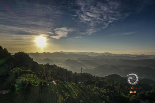 茶山晨