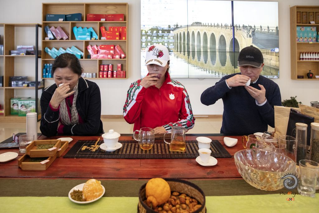 《复工复产 茶香贵州》