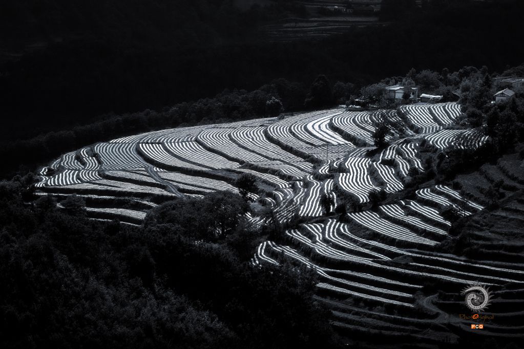 大地诗行 组照