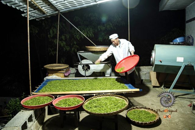 《靠茶吃饭的马家厂》