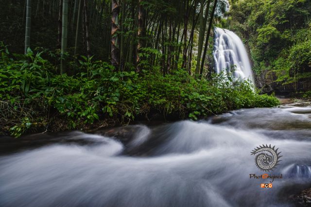 一江春水向东流