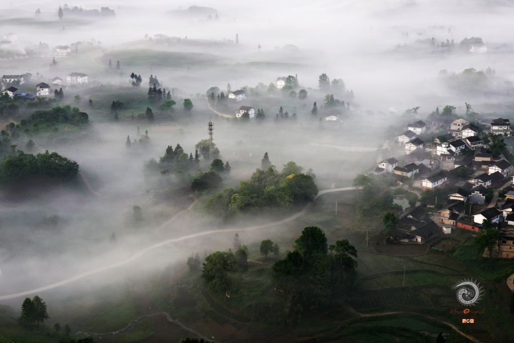 醉美茶乡