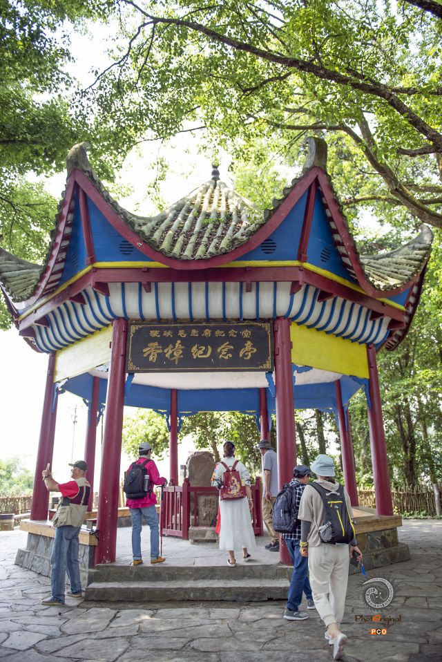 岜沙苗寨的蝶变（组照）