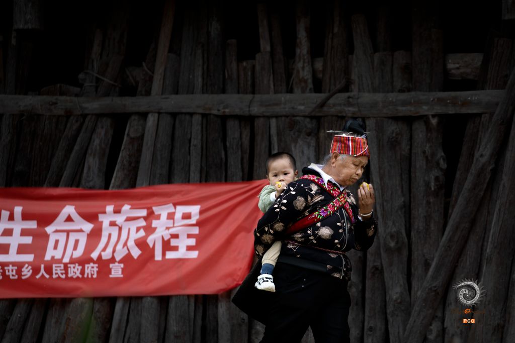 生命旅程