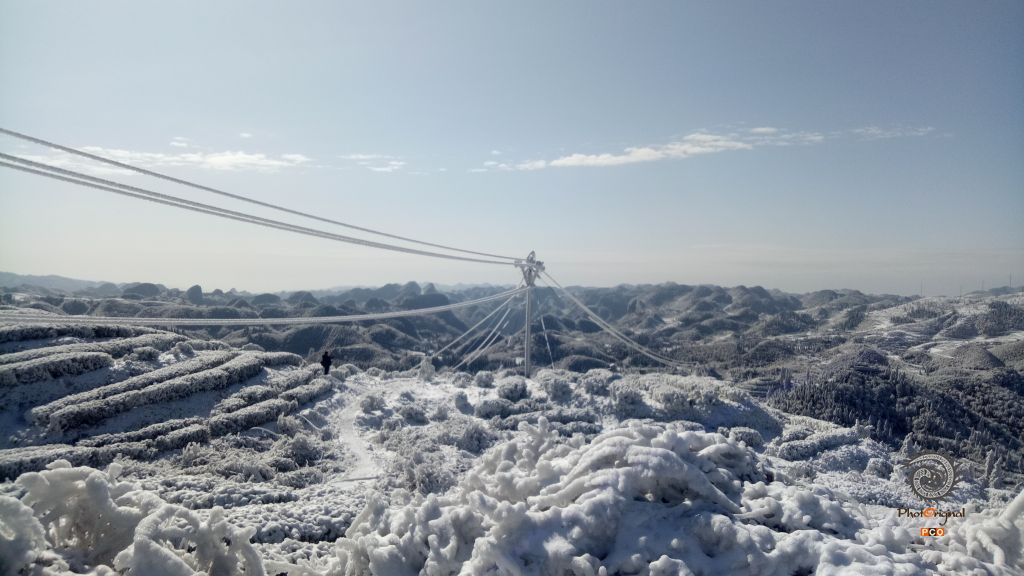 高山茶园 银装素裹