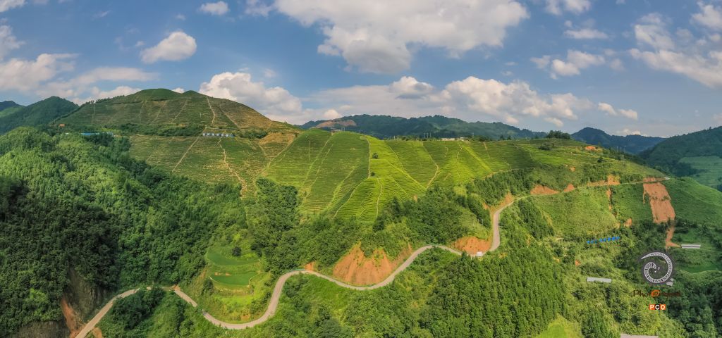 贵州省丹寨县硒锌茶科技园