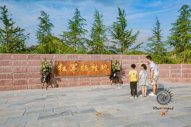 述说