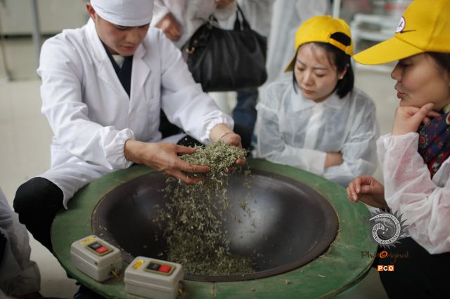 学习参观茶叶制作