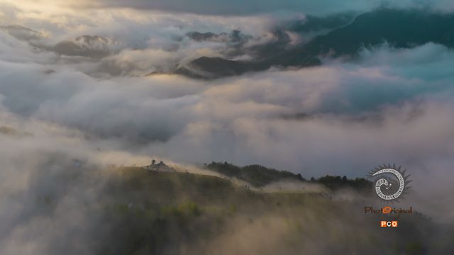 《茶山晨韵》