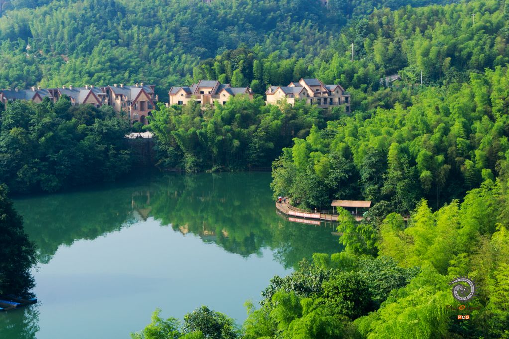 绿色家园
