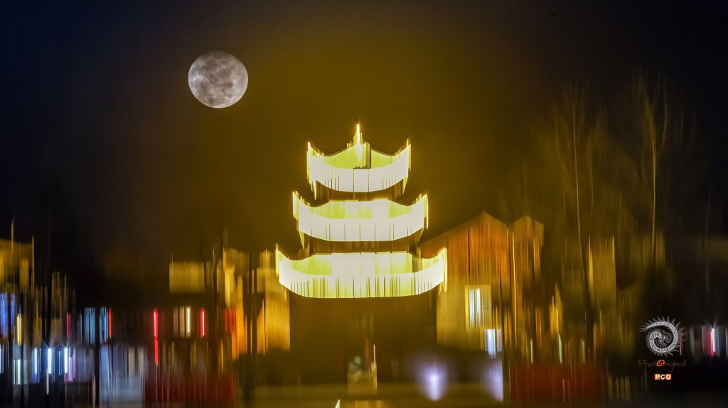 月光下