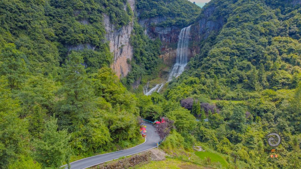 黄莲风光