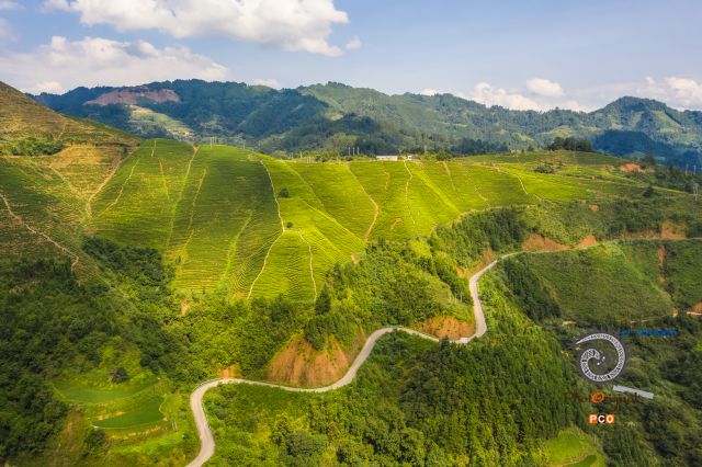 贵州省丹寨县硒锌茶科技园