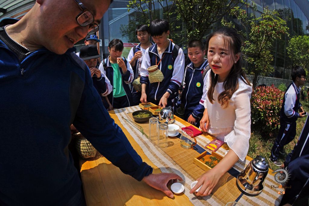 体验茶文化