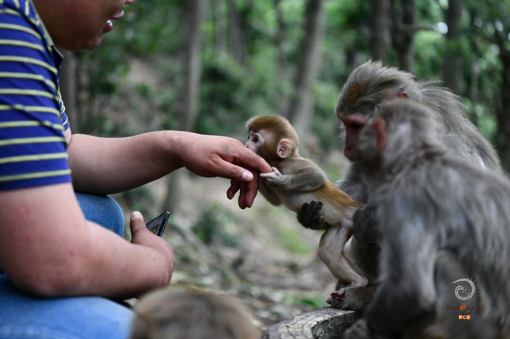 吻