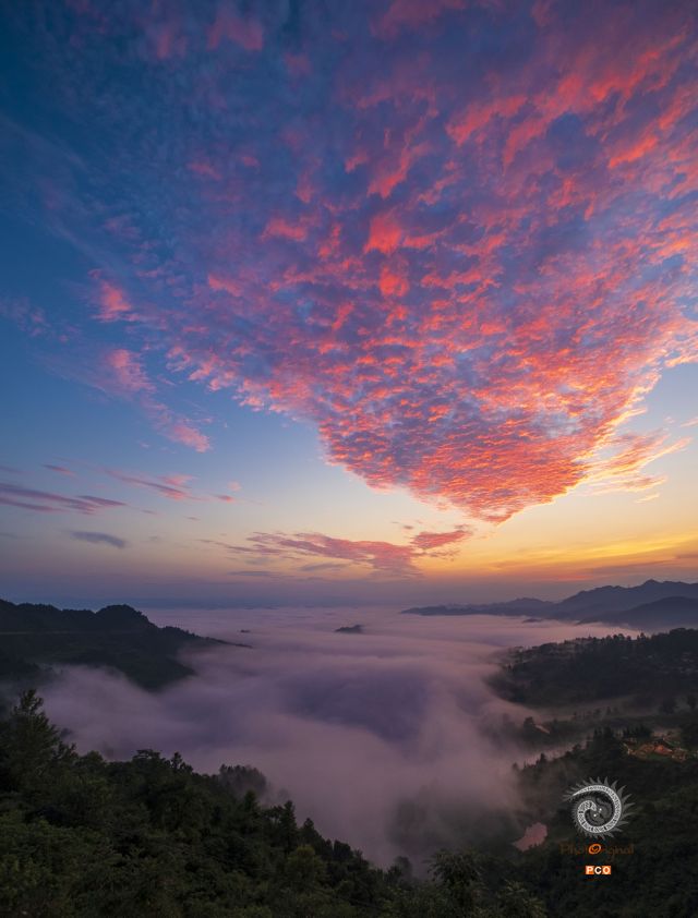 鼓楼坪红霞