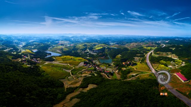 《醉美茶园》