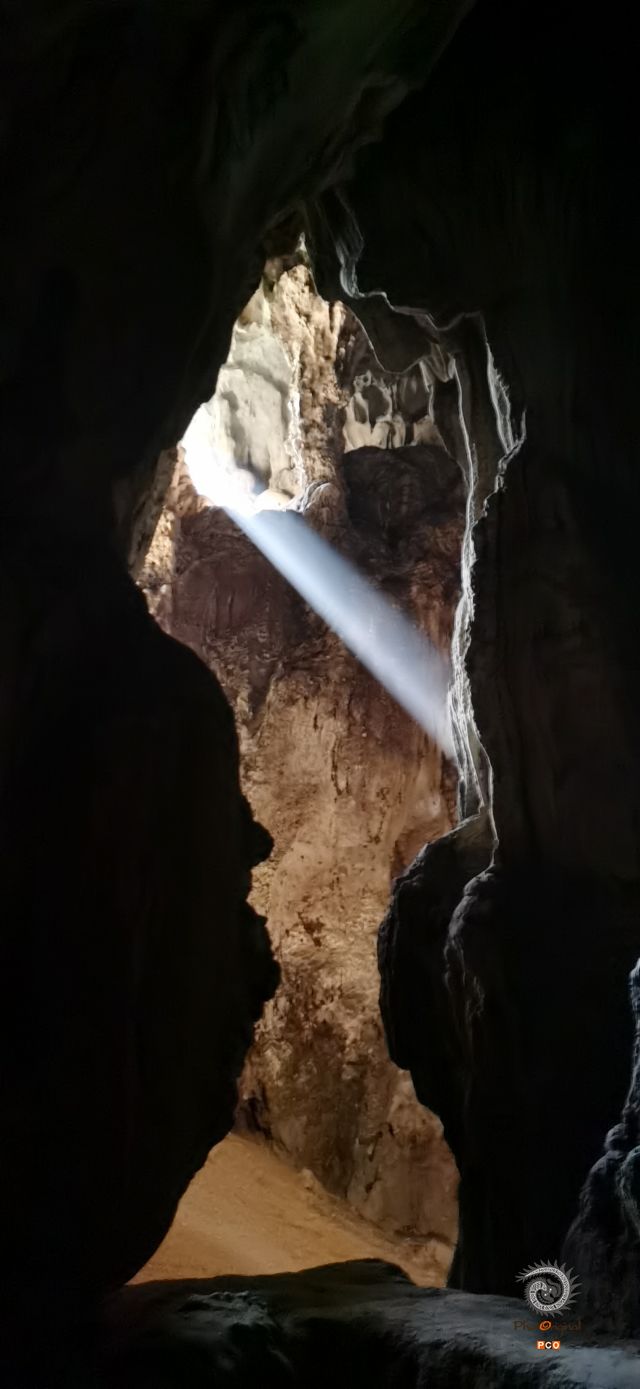 观音之光