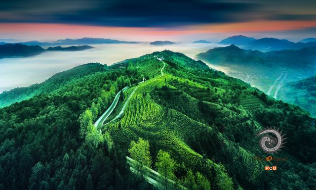 云上茶山