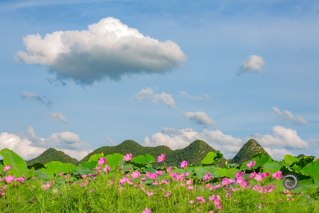 生态农村
