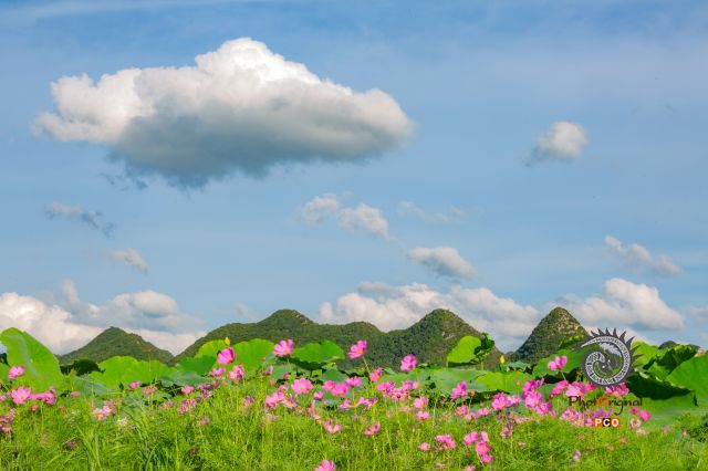 生态农村