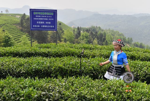 多彩贵州·第十四届中国原生态国际摄影大展 · 黔像荟萃 的图集