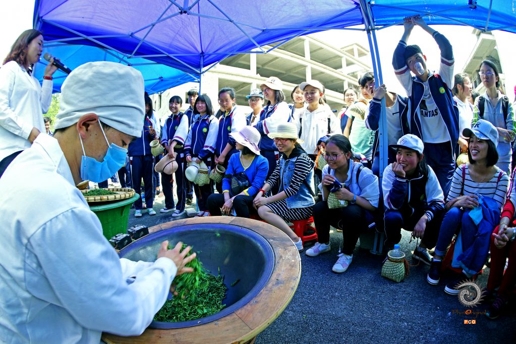 体验茶文化