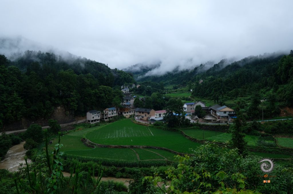 山村的早晨