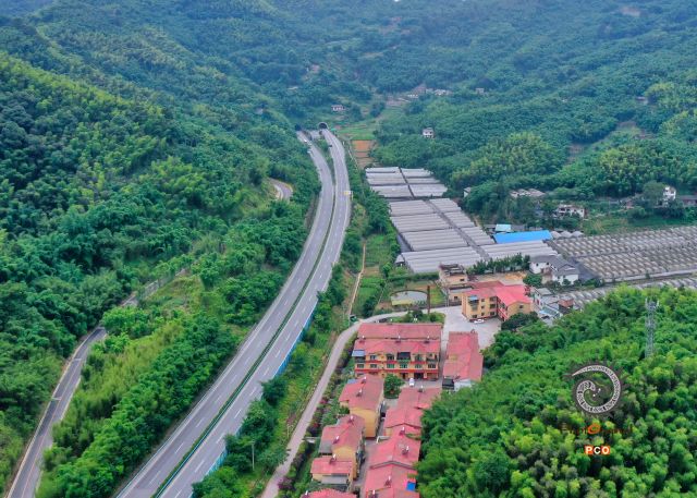 我家门口这条路