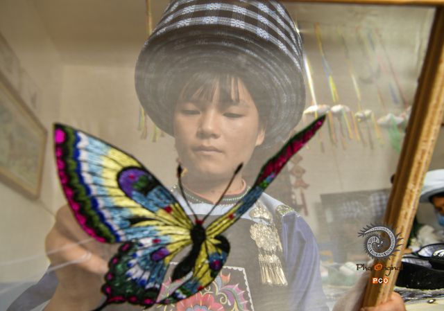 《致富蝴蝶梦》