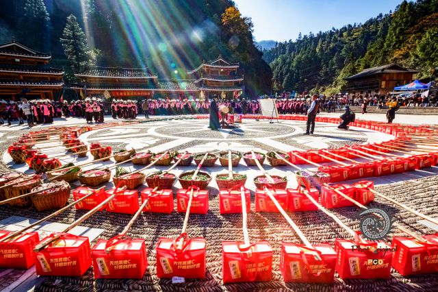 敬家乡