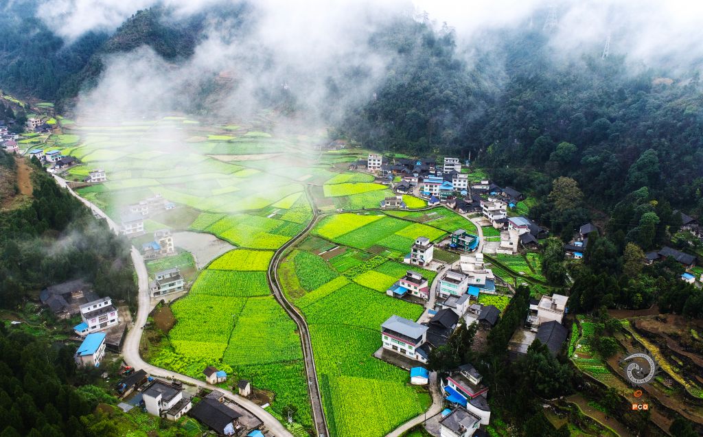 美丽乡村入画来