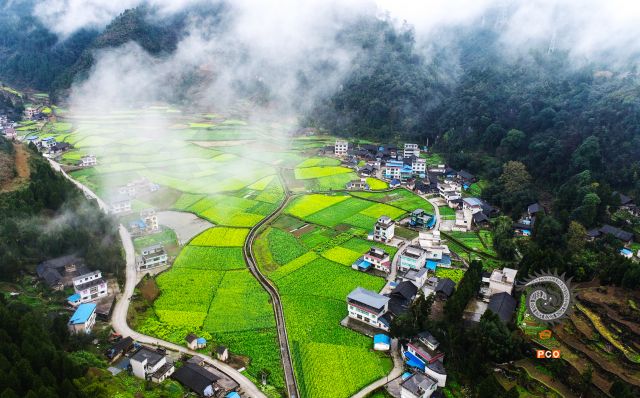 美丽乡村入画来