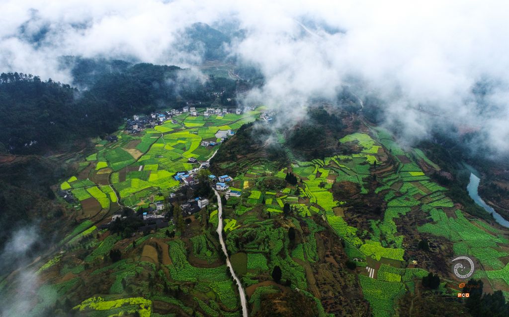 美丽乡村入画来
