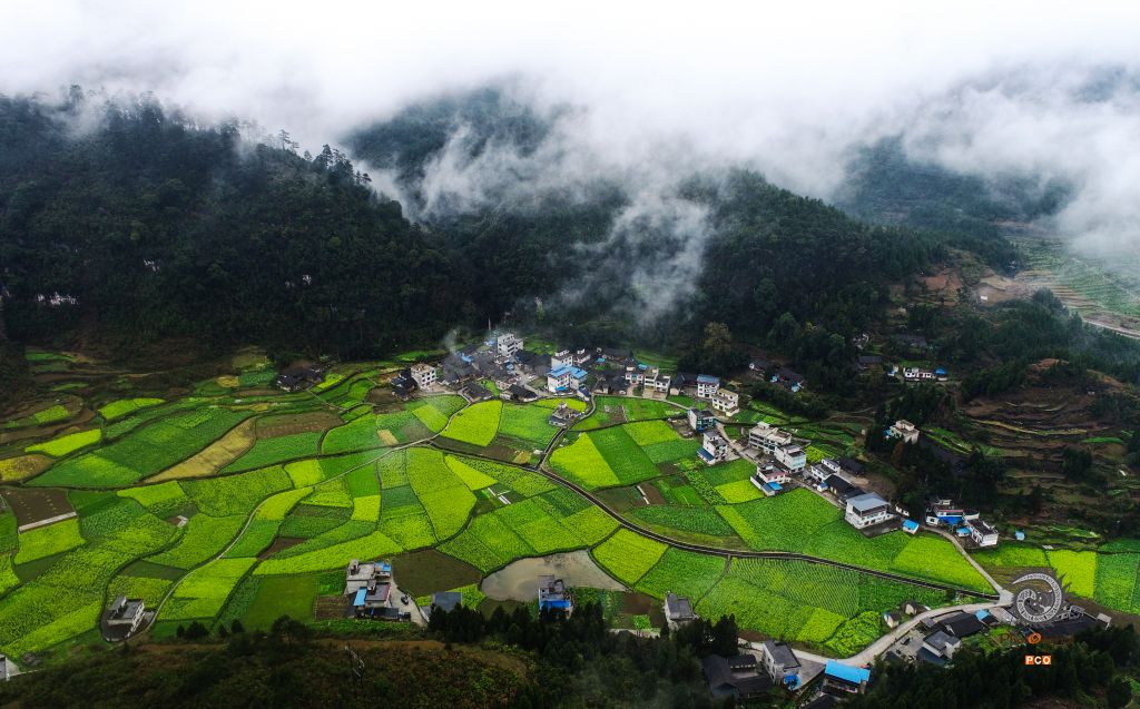美丽乡村入画来