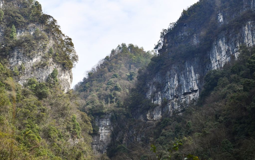 守护“天坑村”的光明使者